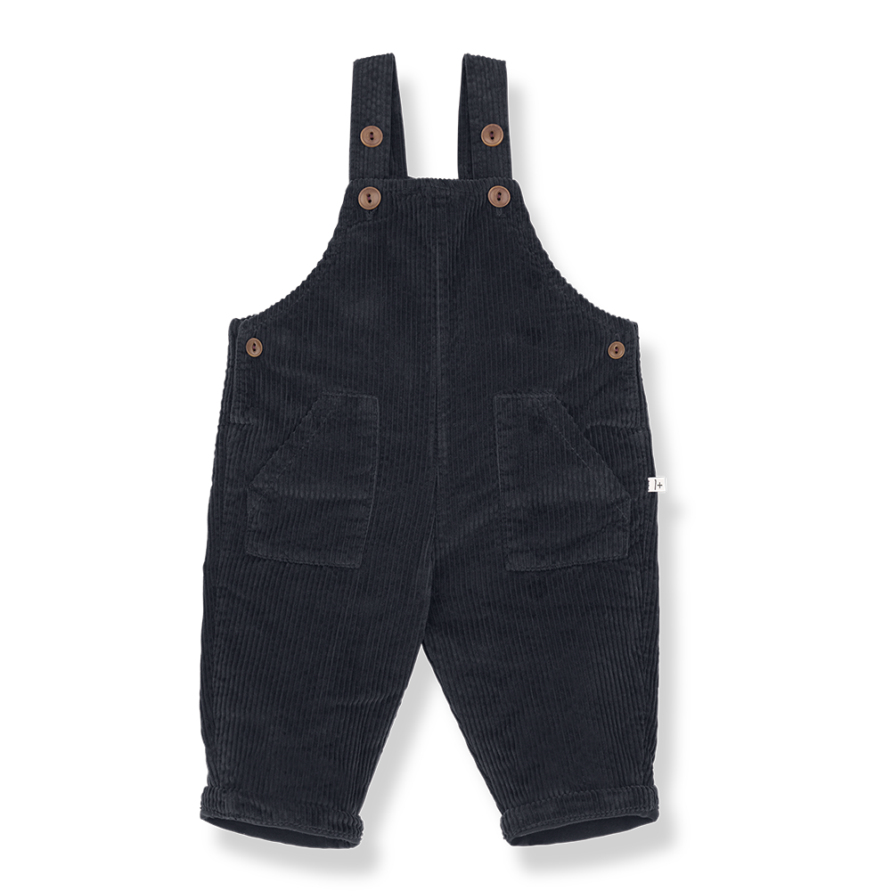 Salopette BENOIT dark-blue