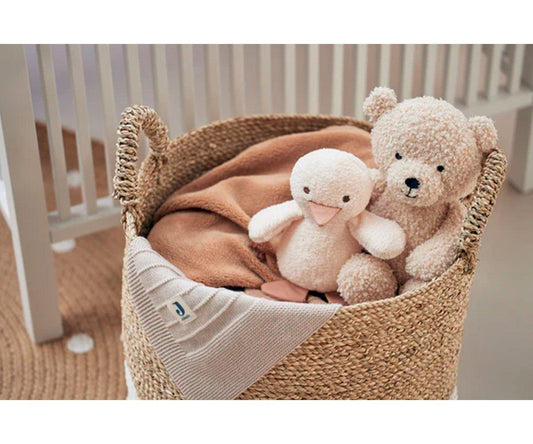 Jouet d'activité canard