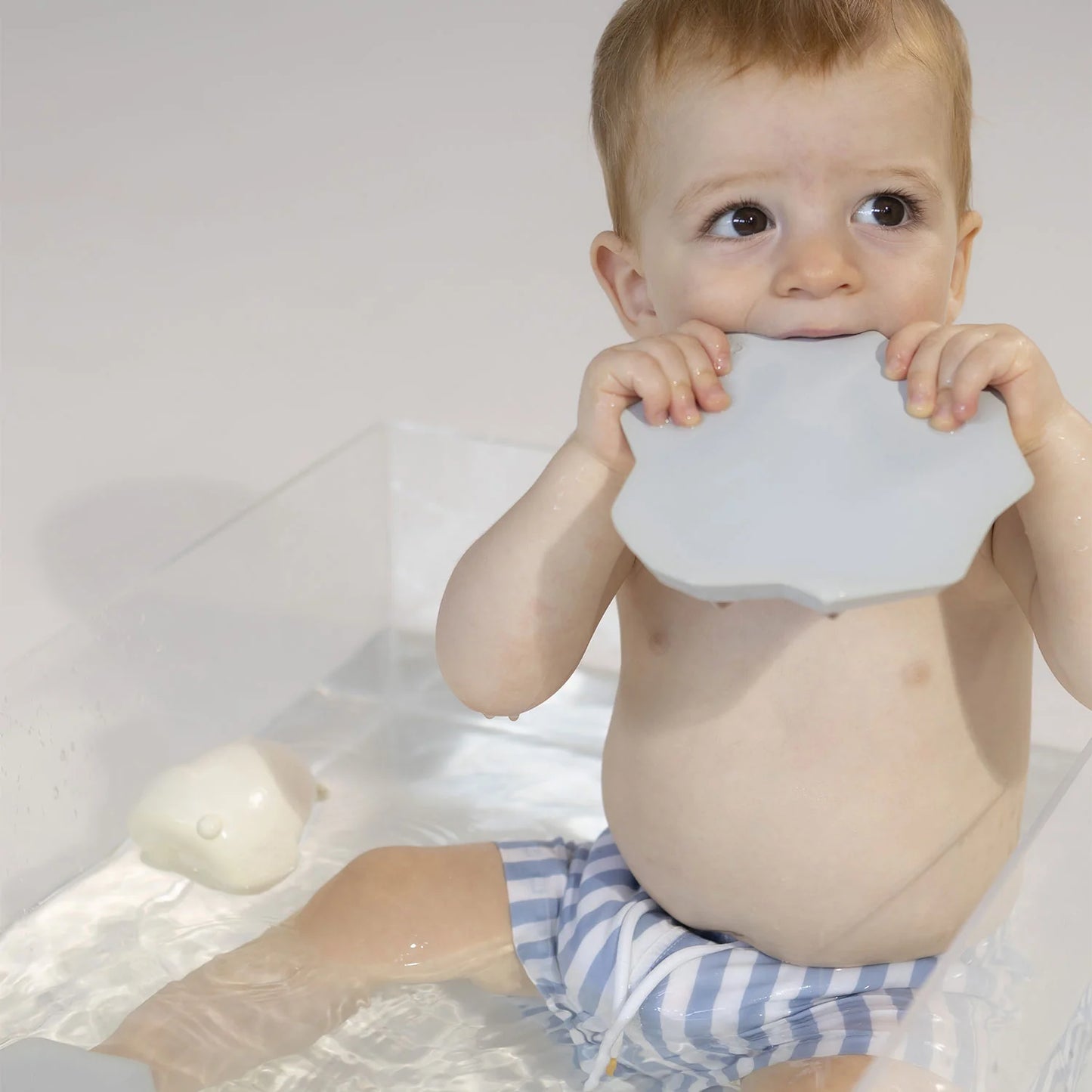 Ours polaire jouet de bain pour bébé