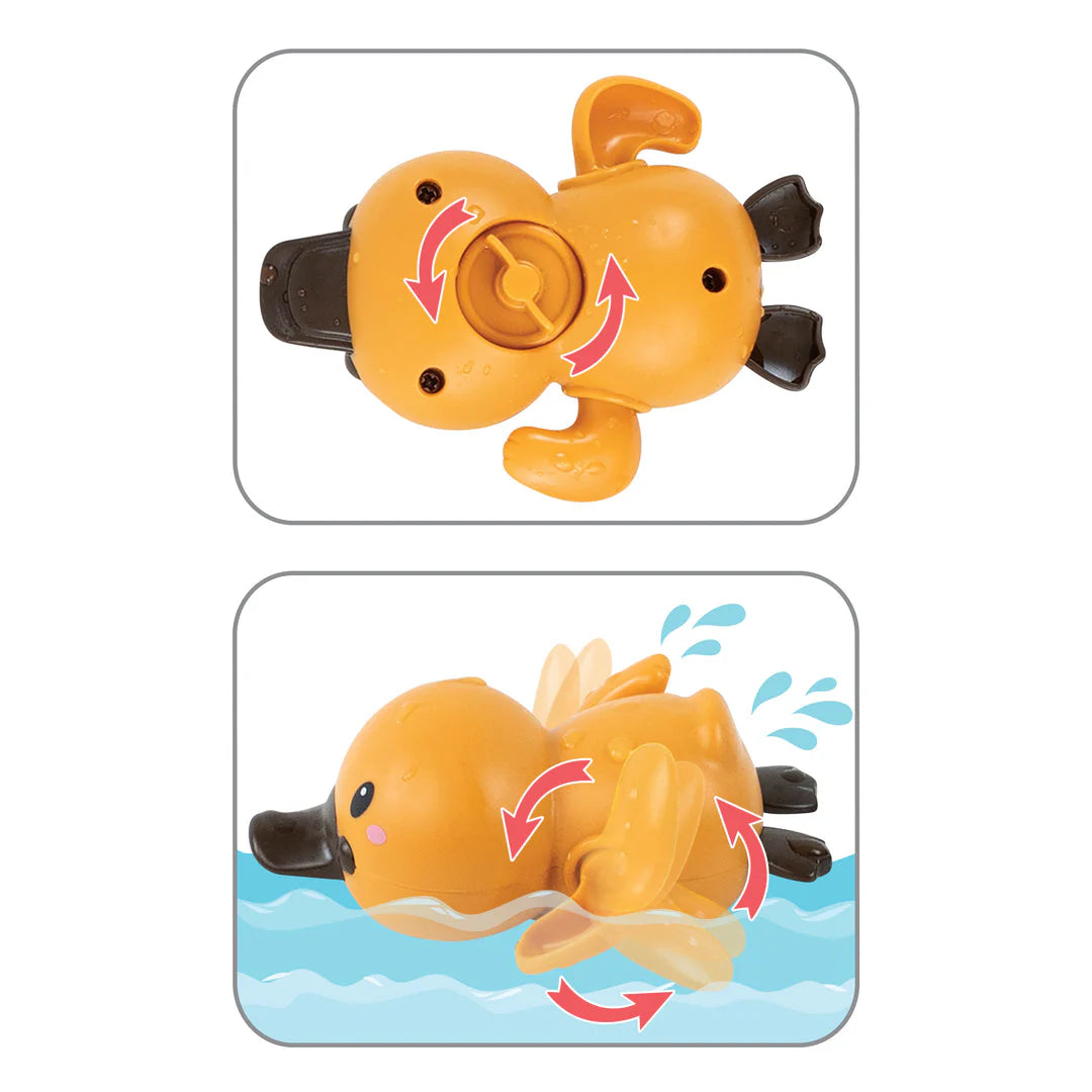 Canards pour le bain x2
