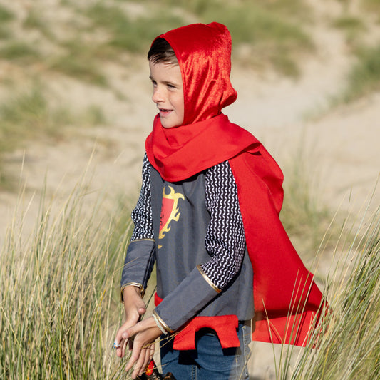 Déguisement Chevalier Perceval