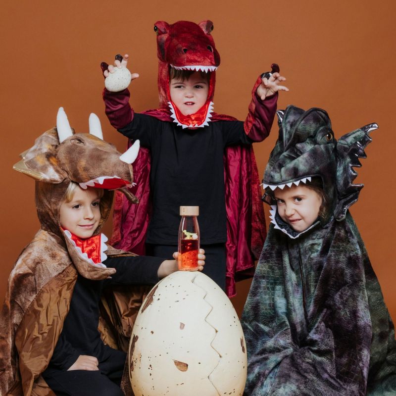 Bouteille sensorielle T-Rex Dinosaure
