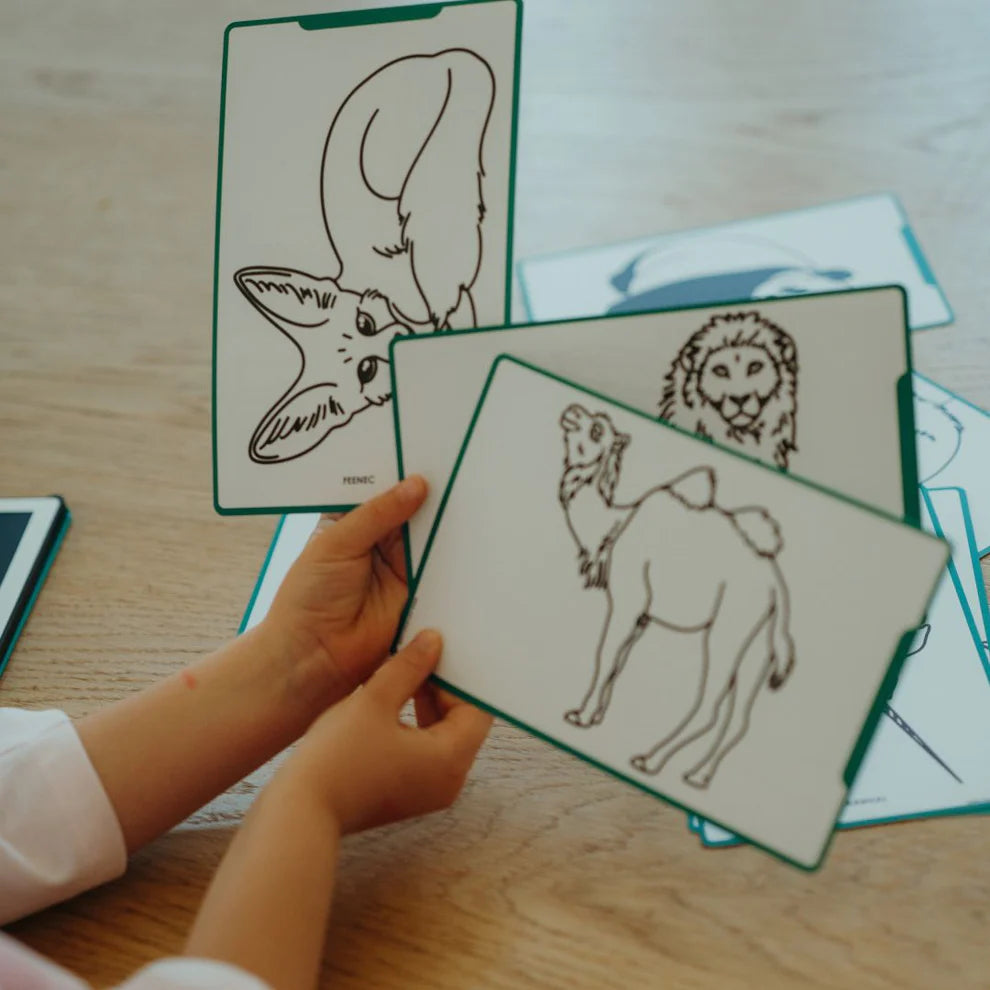 Recharges pour Kidydraw-mini : Animaux autour du monde et Océans & pirates