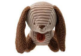 Peluche d’activités Diego le chien