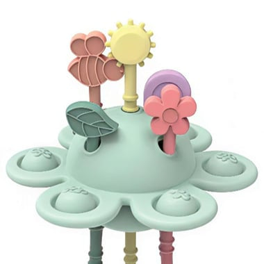 Jouet à tirer découverte du Jardin