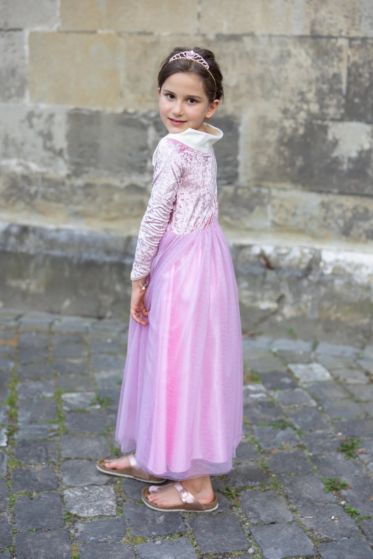Déguisement robe de Princesse velours Belle au bois dormant