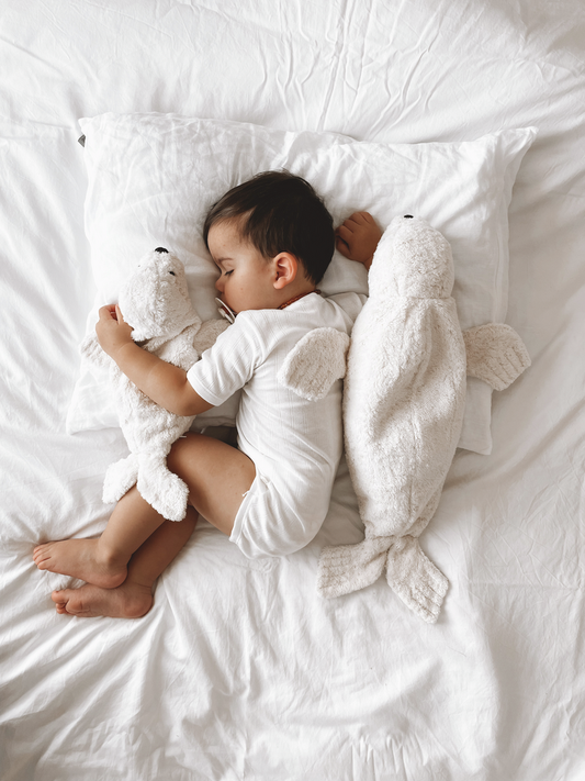 Peluche Bouillotte phoque blanc