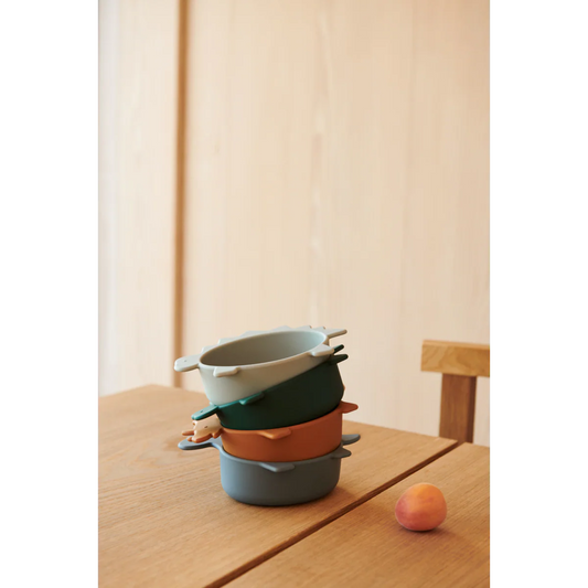 LOT DE 4 BOLS EN SILICONE IGGY