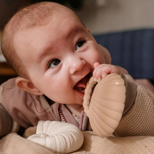 Anneau de dentition coquillage