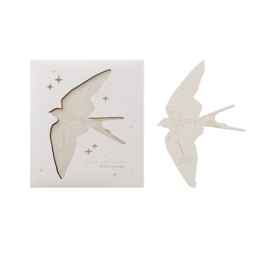 Cartes étapes Birds