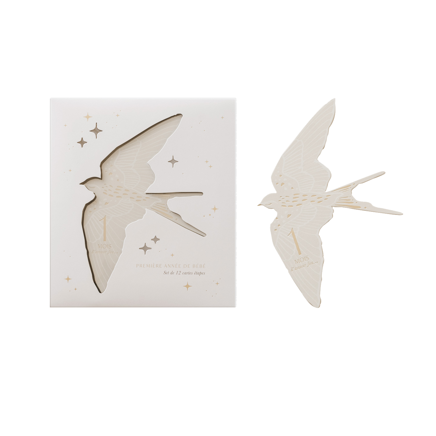 Cartes étapes Birds