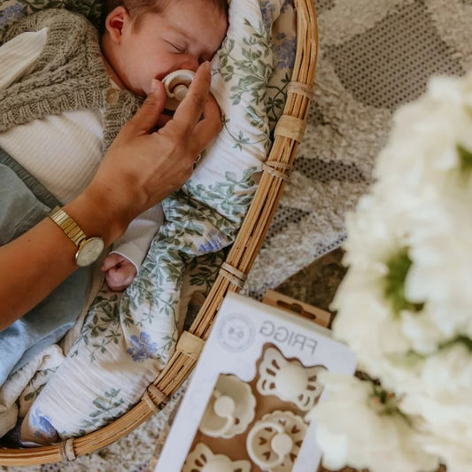 Pack de 4 tétines Frigg