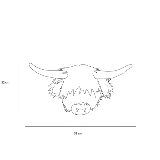 Nicolas La vache Highland