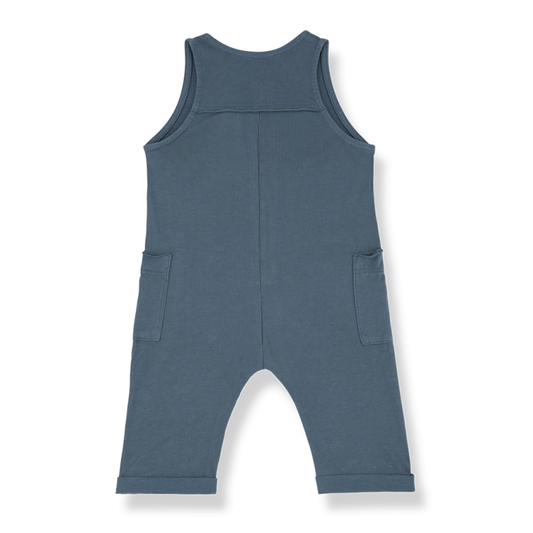 Combinaison DANA pétrologies