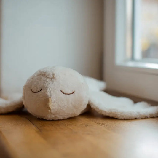Peluche bouillotte Chouette des neiges 🦉