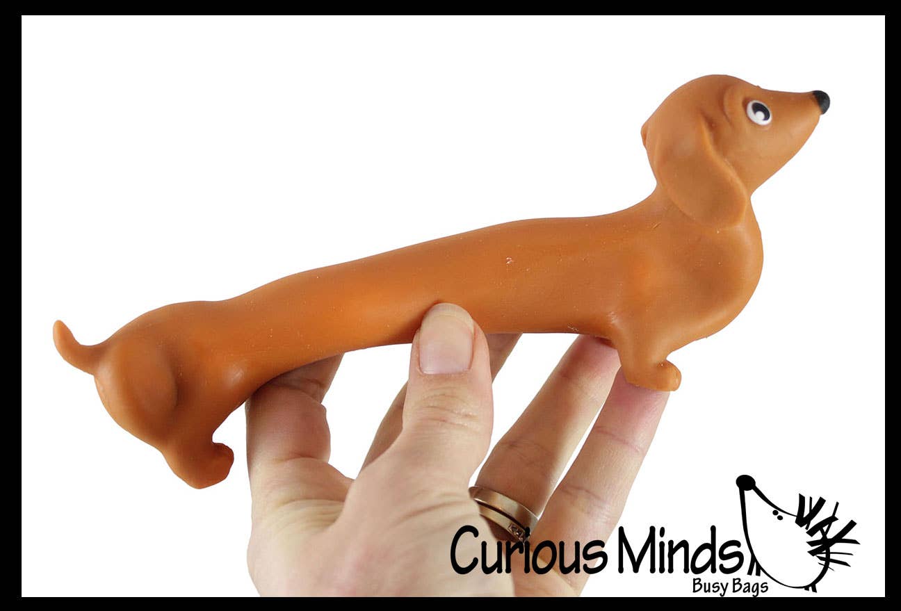 Petit teckel anti stress