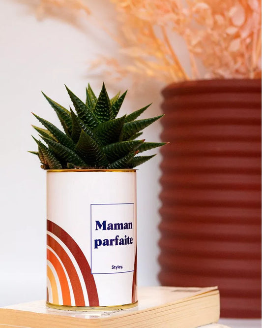 Cactus - Maman Parfaite