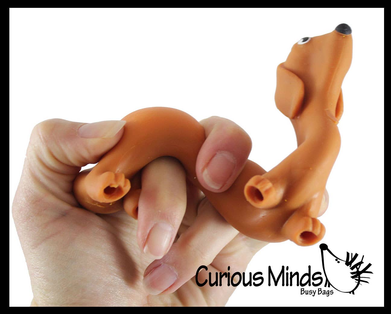 Petit teckel anti stress