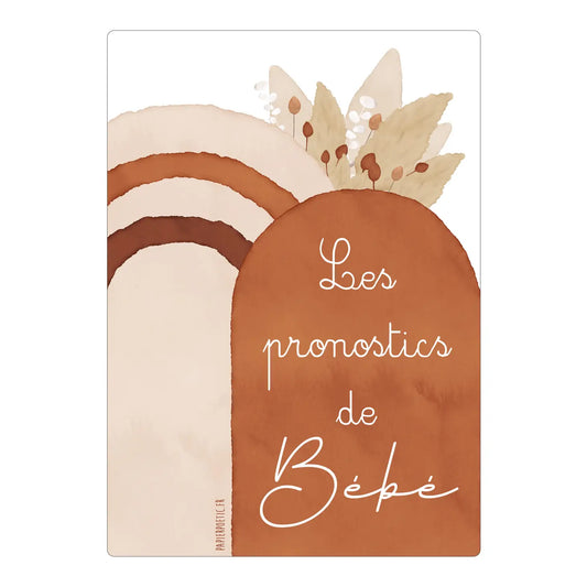 Lot 6 cartes pronostics bébé “bohème”