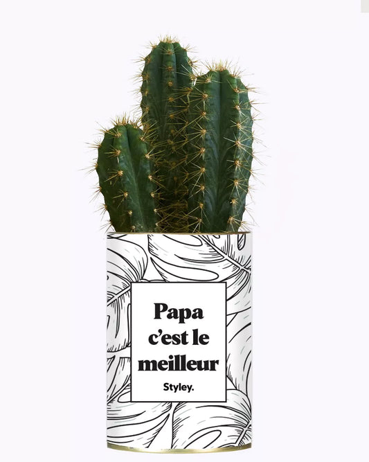 Cactus - Papa c'est le meilleur