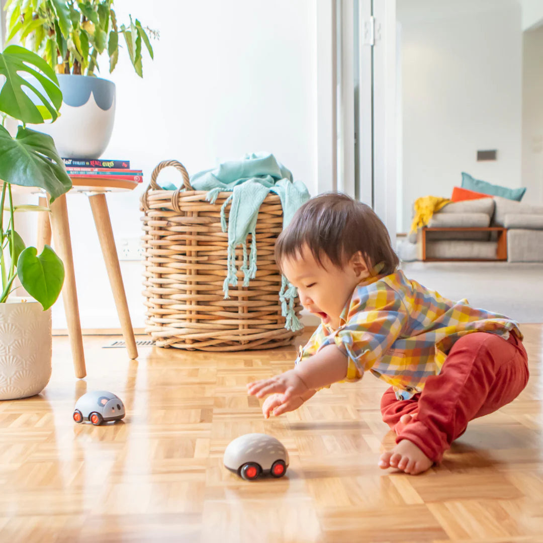 Set de 2 animaux roulant koala et hérisson