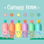 Set de 6 surligneurs carottes