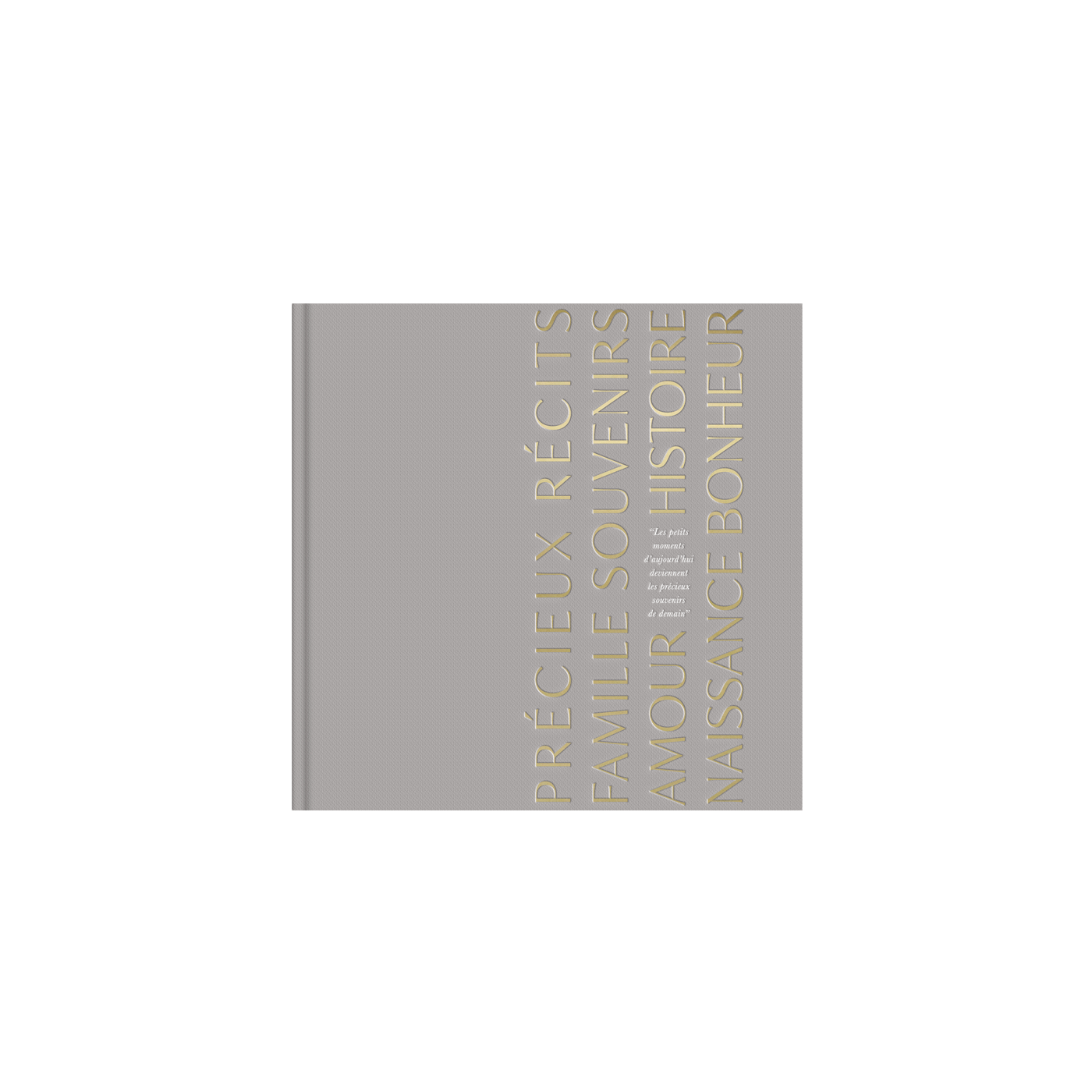 Livre de naissance gris Précieux Souvenirs
