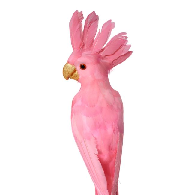 Grande perruche décorative rose