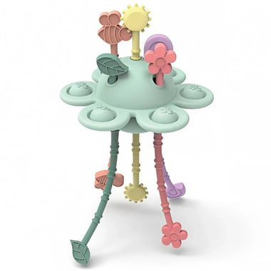 Jouet à tirer découverte du Jardin