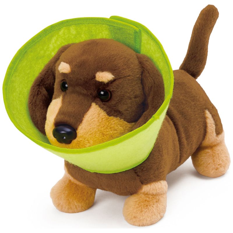 Kit du petit vétérinaire