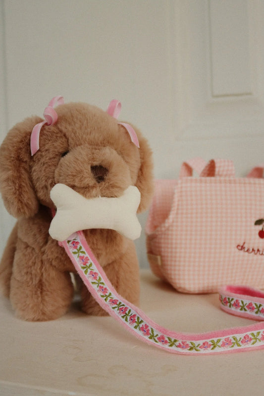 Chien Maude Puppy
