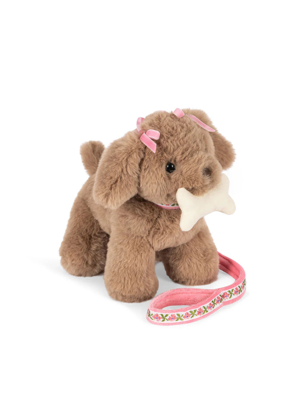 Chien Maude Puppy