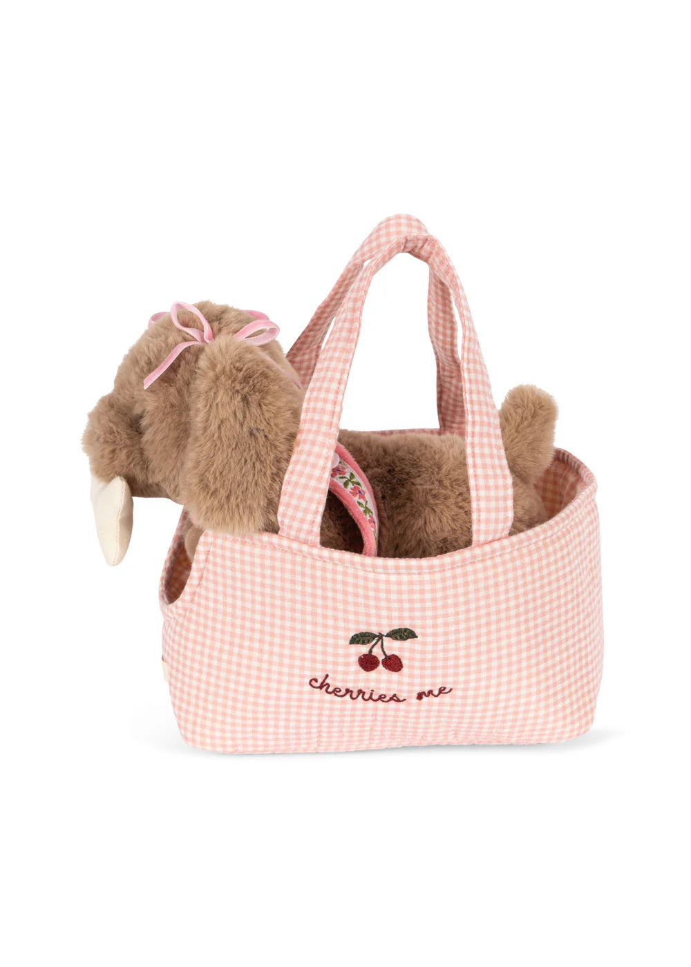 Chien Maude Puppy