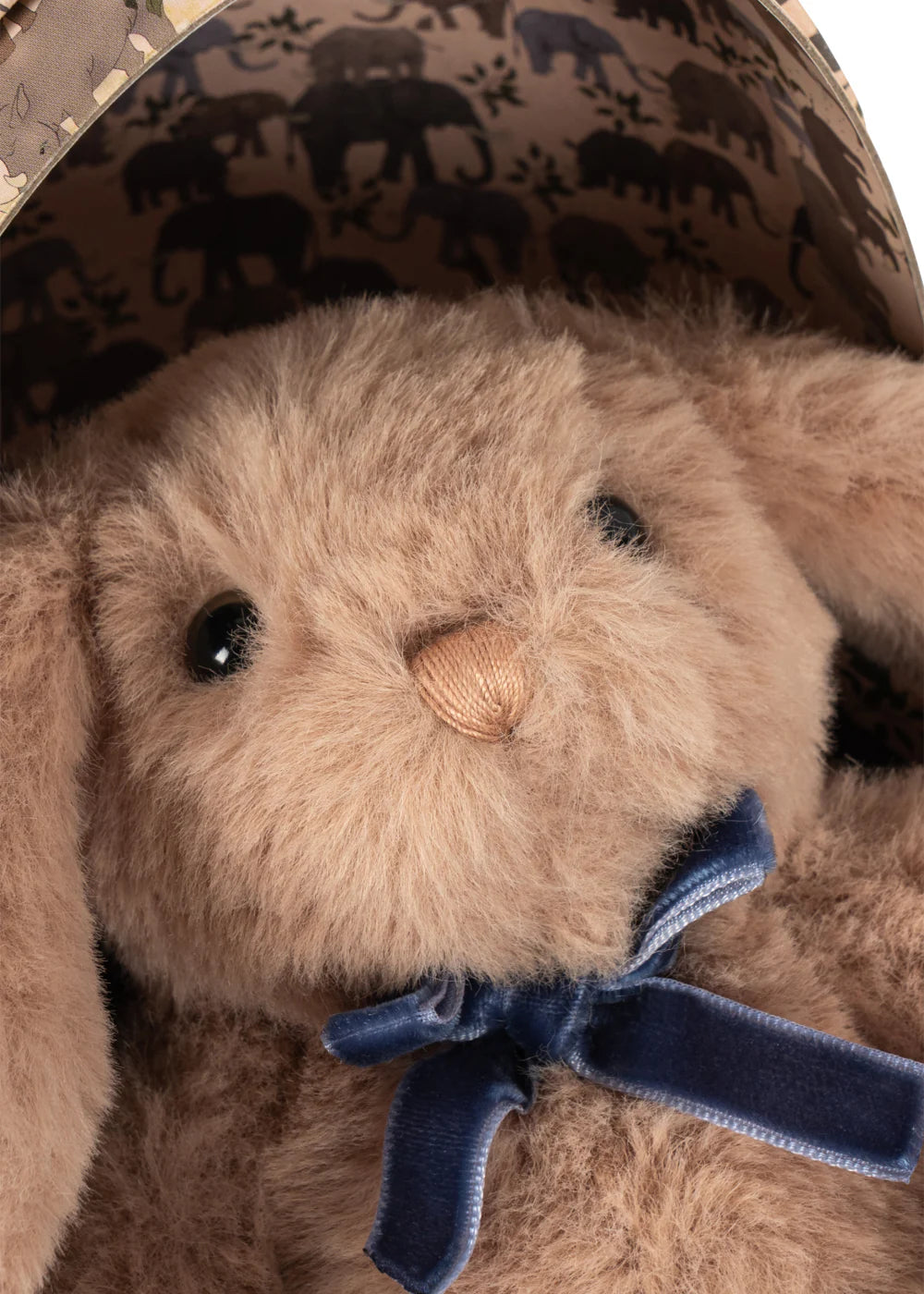 œuf de pâques Safari