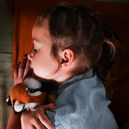 Panda Roux  en peluche 30 cm magnétique