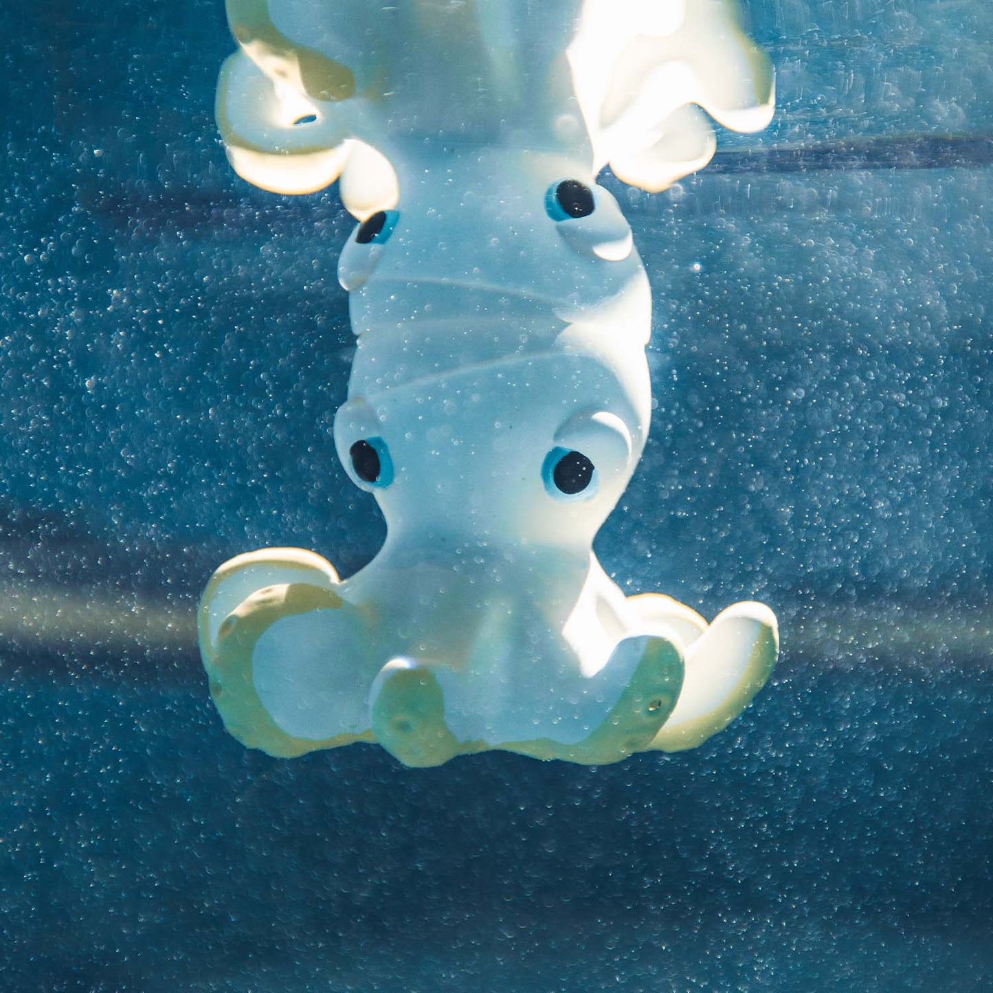 Pieuvre de bain bébé