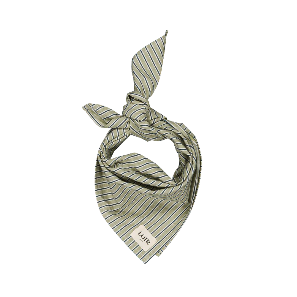 Foulard alfred - rayures menthe