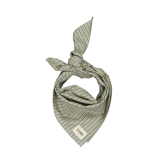 Foulard alfred - rayures menthe